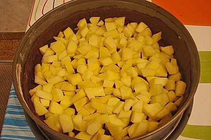 Apfel - Schmand - Kuchen 9