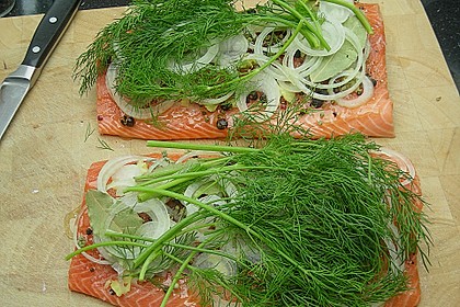 Gebeizter Lachs 5