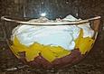 Barbaras Triffle