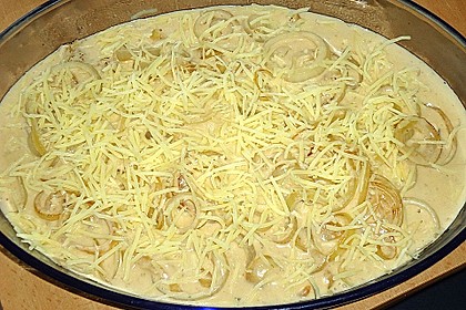 Backofen - Zwiebelschnitzel 17