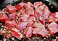 Sivis Gulasch auf mediterrane Art