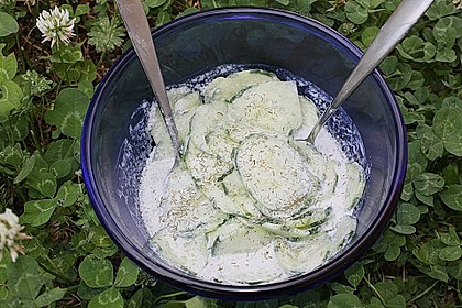 Gurkensalat 3