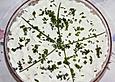 Schichtsalat ala Elena
