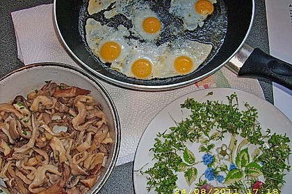 Austernpilze mit Wachtelspiegelei