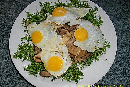 Austernpilze mit Wachtelspiegelei 1
