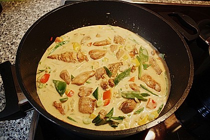 Thai - Red - Curry f&uuml;r mehrere Variationen 14