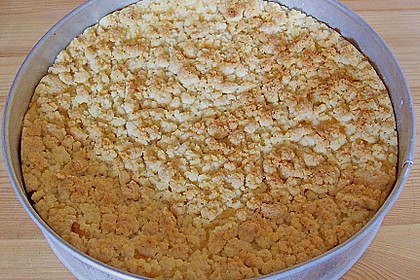 Streuselkuchen mit Pudding 3