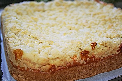 Streuselkuchen mit Pudding 4