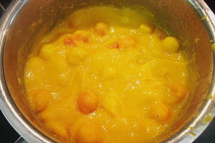 H&auml;hnchenbrust auf der Haut gebraten mit roten Linsen, Mango und Papaya 2