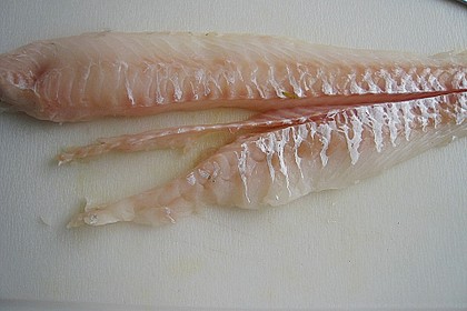 Skreifilet auf M&ouml;hren - Sellerie - Julienne mit Kr&auml;uterseitlingen
