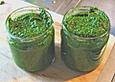 B&auml;rlauchpesto