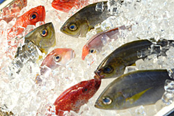 Welche Fische Kann Man Bedenkenlos Essen Welche Fische Kann Man Bedenkenlos Essen