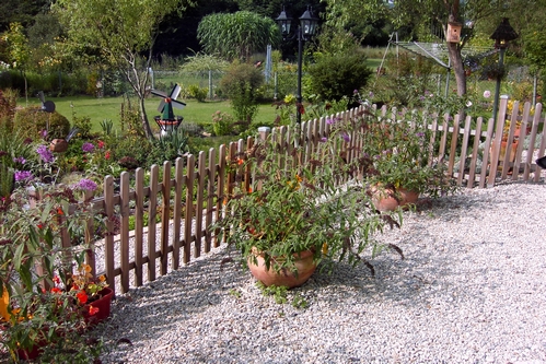 Zierbume Kaufen Tolle Gartenangebote Bei Weltbild