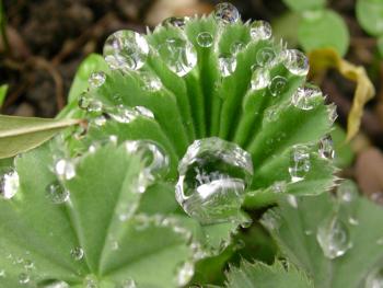 Download Regenwetter verregneter tag sprueche Free