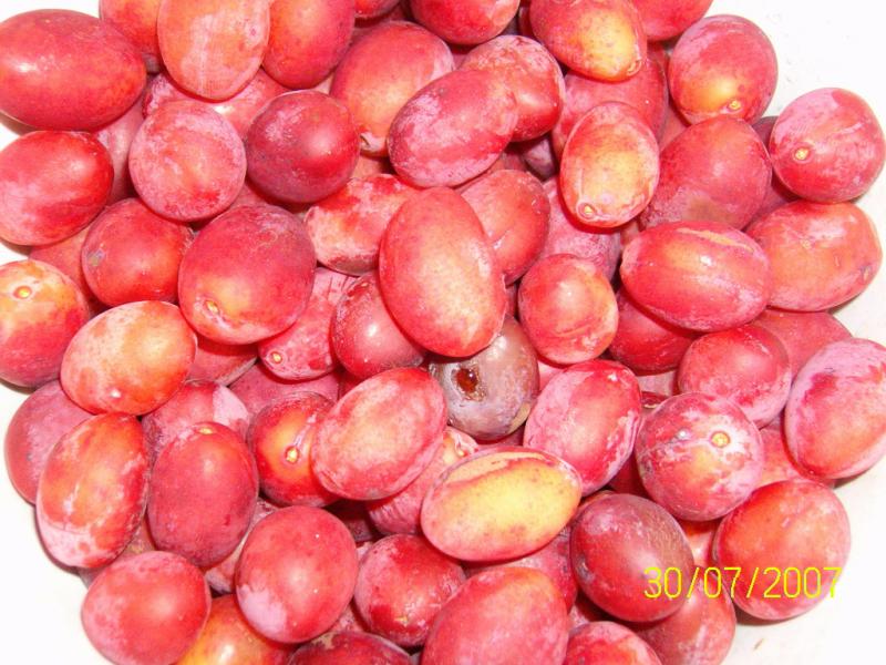 einfach > Natur Fotoalbum Natur & Tiere bei CHEFKOCH.DE