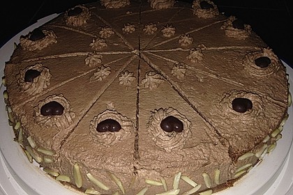 Schoko - Sahne - Torte 18