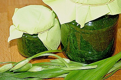 Bärlauch-Gewürzpaste 20
