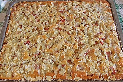 Rhabarber - Buttermilchkuchen 25