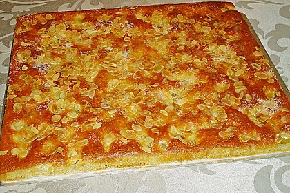 Rhabarber - Buttermilchkuchen 56