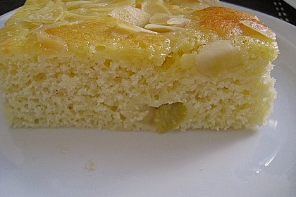 Rhabarber - Buttermilchkuchen 31