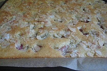 Rhabarber - Buttermilchkuchen 94