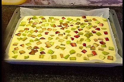Rhabarber - Buttermilchkuchen 47