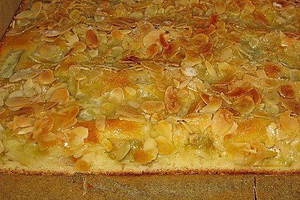 Rhabarber - Buttermilchkuchen 40