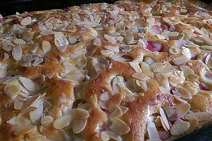 Rhabarber - Buttermilchkuchen 6