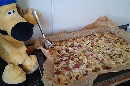 Rhabarber - Buttermilchkuchen 9