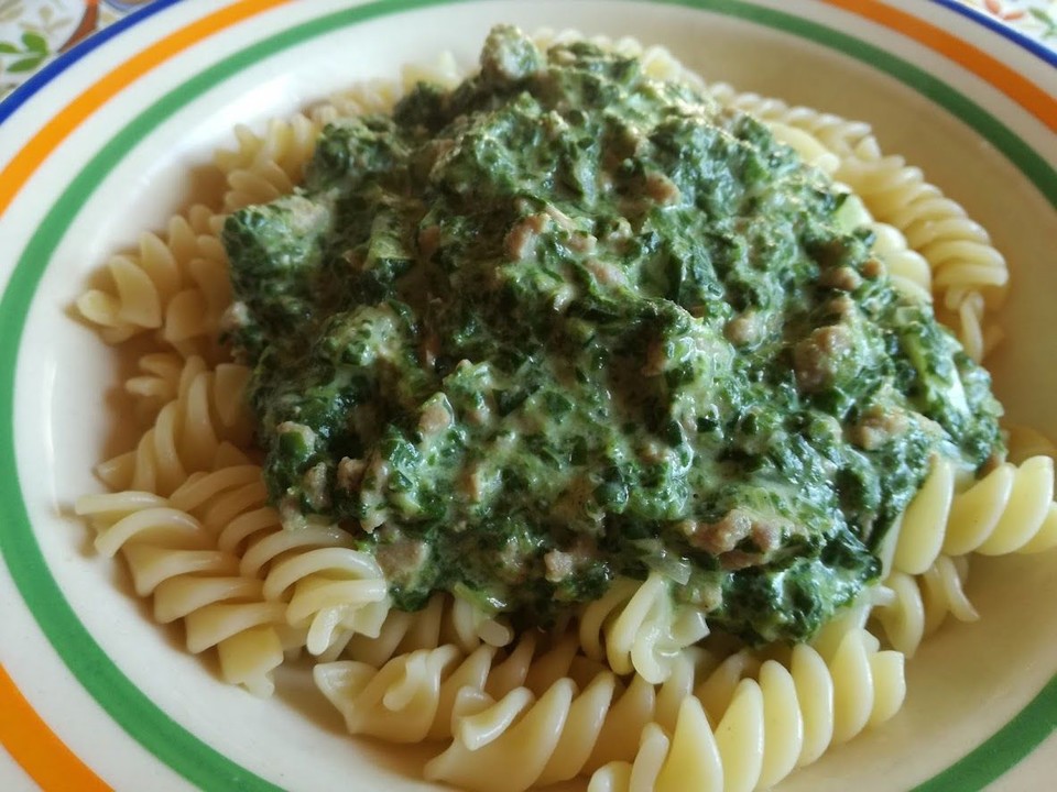 Bolognese Hackfleisch Bolognese Hackfleisch