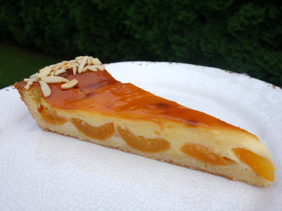 Mandarinen - Pudding - Kuchen von scmo | Chefkoch.de