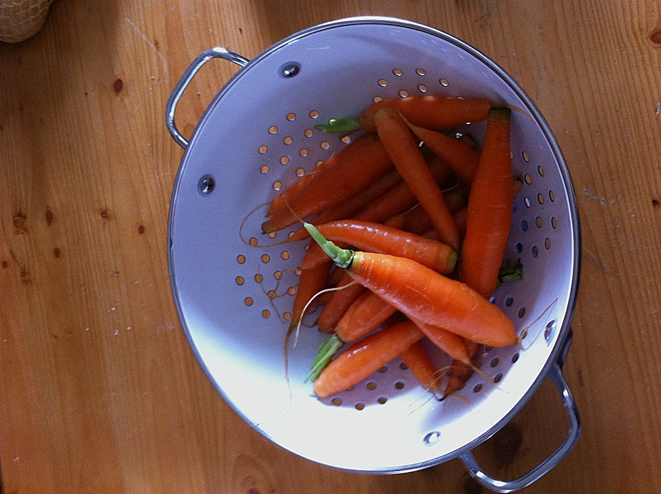 Knackiger Karottensalat mit gerösteten Sonnenblumenkernen von ...