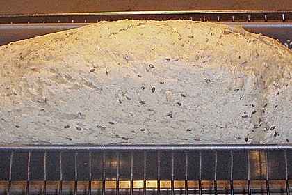 3 Minuten Brot 318