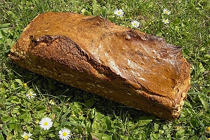 3 Minuten Brot 263
