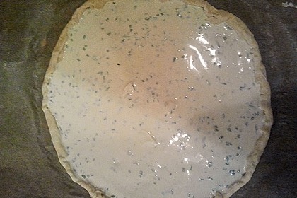 Schneller Flammkuchen 249