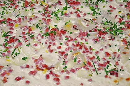 Schneller Flammkuchen 133