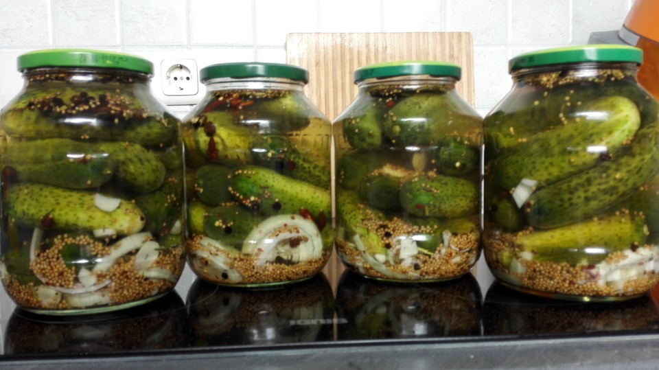 Rezept Für Gewürzgurken Einlegen Im Steintopf