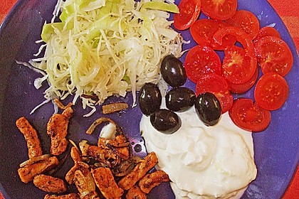 Gyros 66