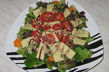 Balsamico - Senf - Honig - Dressing 28