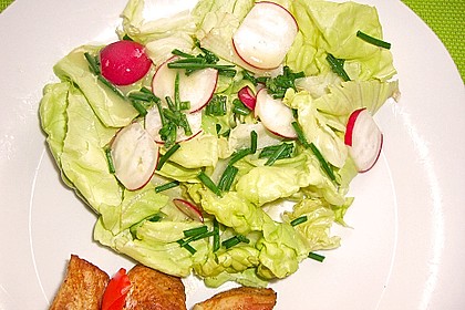 Balsamico - Senf - Honig - Dressing 17