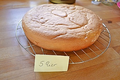 Wiener Boden / Biskuit 12