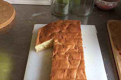 Wiener Boden / Biskuit 17