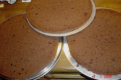Burgis Sachertorte - eine wienerische Variante 67