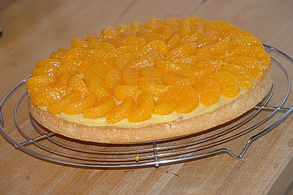Veganer Biskuit 11