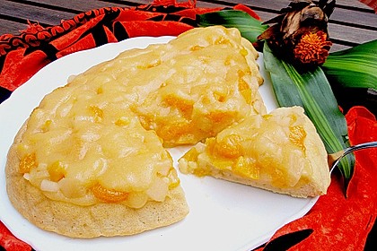 Veganer Biskuit 26