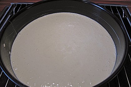 Veganer Biskuit 54