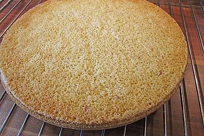 Veganer Biskuit 18