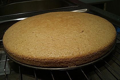 Veganer Biskuit 14