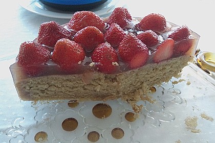Veganer Biskuit 27
