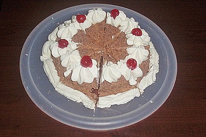 Veganer Biskuit 53